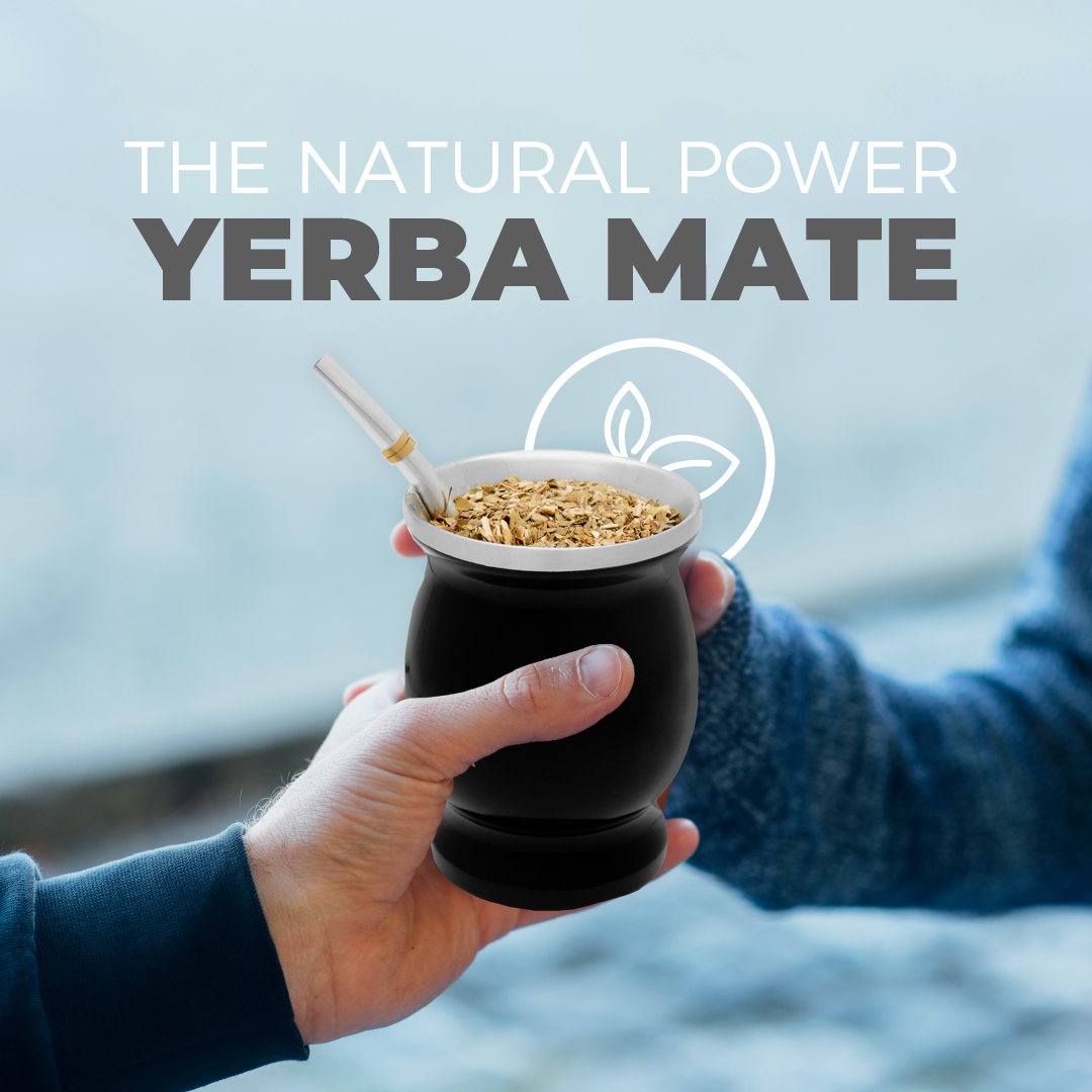 Classic Stainless Steel Yerba Mate Gourd Set (Black)