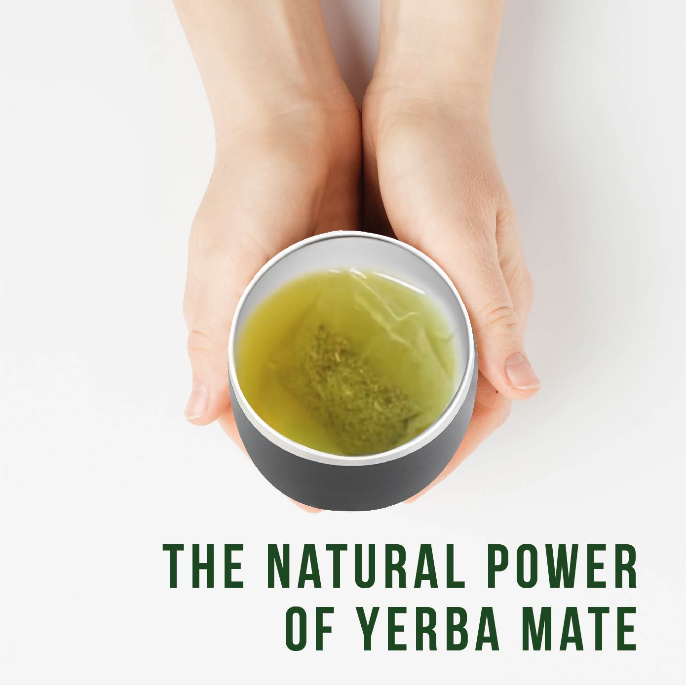 Organic Yerba Mate Tea Bags By Balibetov - Unsmoked 100 Tea Bags