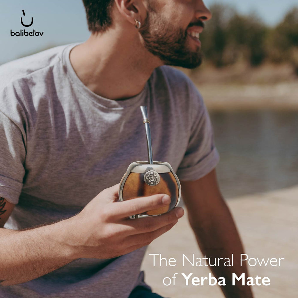 The German Silver Calabash Yerba Mate Gourd Set (Suela)