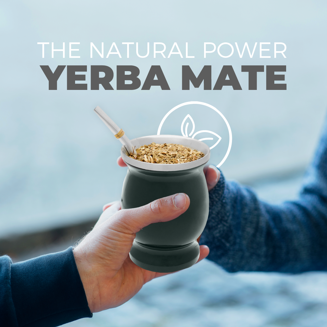 Classic Stainless Steel Yerba Mate Gourd Set (Green)