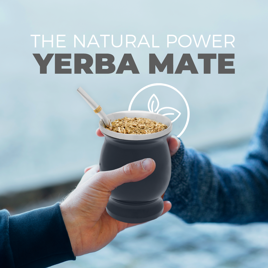 Classic Stainless Steel Yerba Mate Gourd Set (Grey)