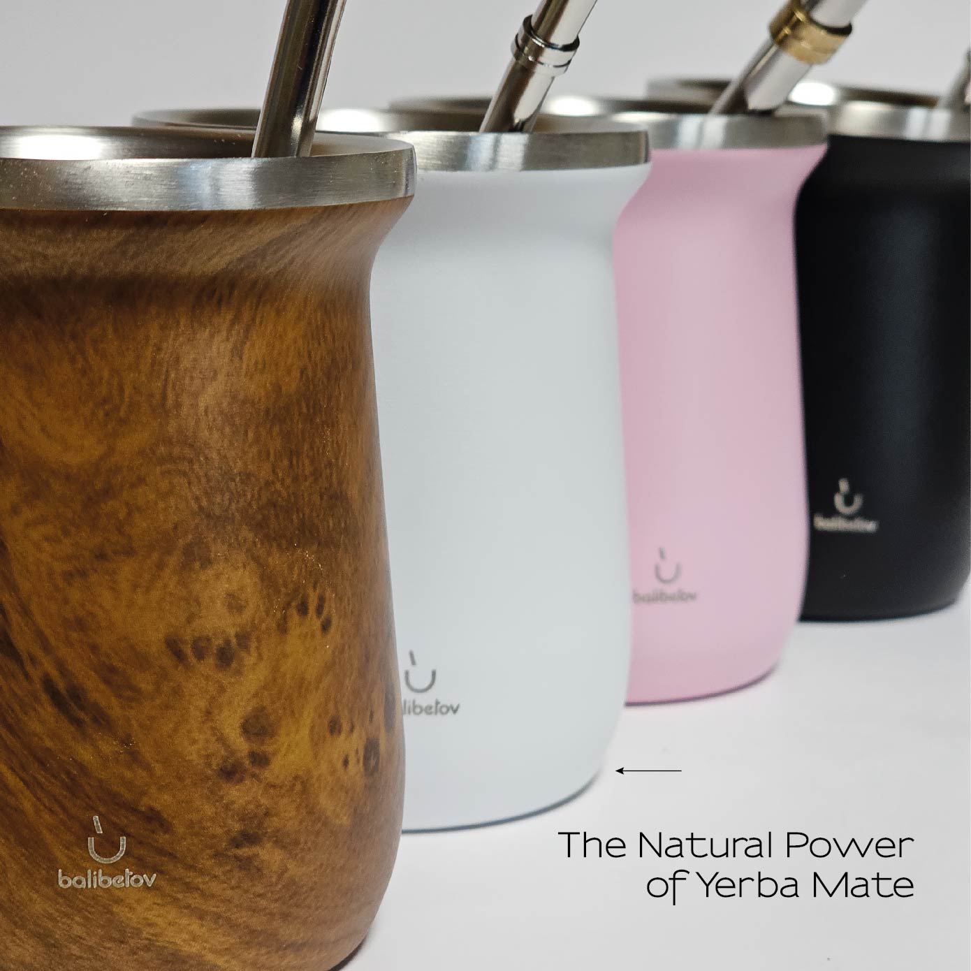 Elegante Stainless Steel Yerba Mate Gourd Set (White)